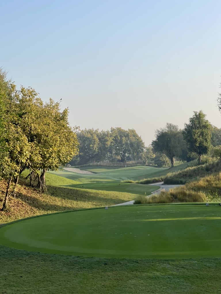 Golf fairway landscape